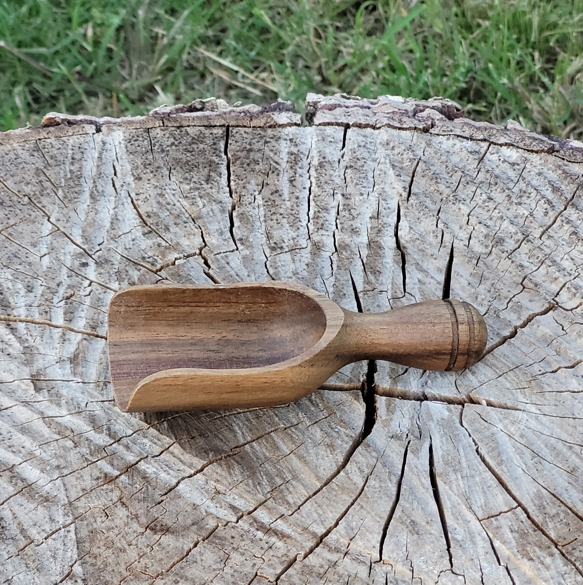 Hand-finished acacia wood scoop